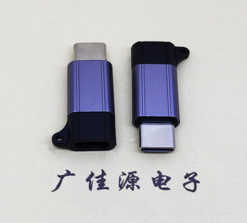 湖南Type-C母转Type-C公 USB3.1 PD100W快冲接口